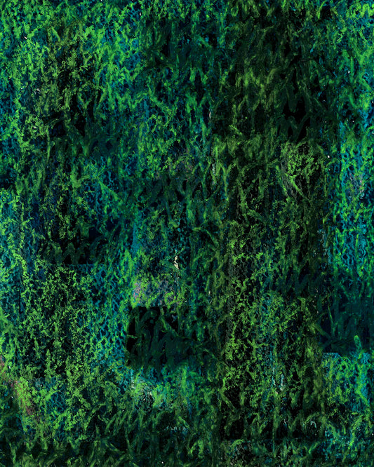 Detail eines chirografischen Unikats in Kreide und Ölpastell auf Karton