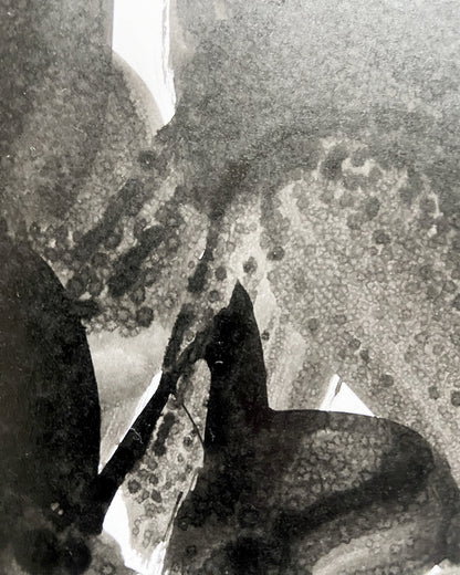 Chirografische Studie: »sehr klar 25_7«